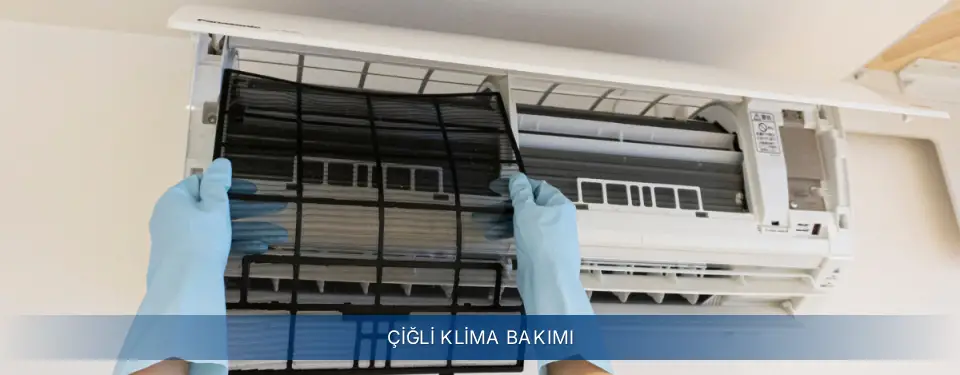Çiğli İlçemi Electrolux Klima Bakımı