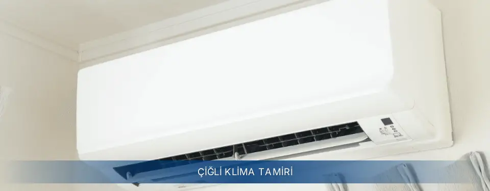 Çiğli İlçemi Electrolux Klima Tamiri