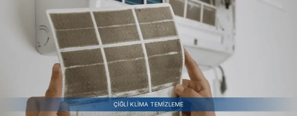 Çiğli İlçemi Electrolux Klima Temizleme